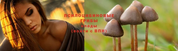 марки lsd Вязники